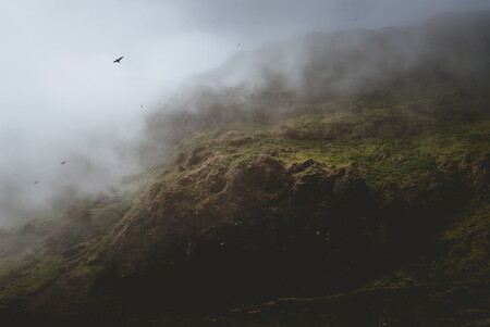 Bird cliffs on the coast of Vik in Iceland