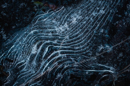 Abstract structures on the ice surface of a frozen puddle