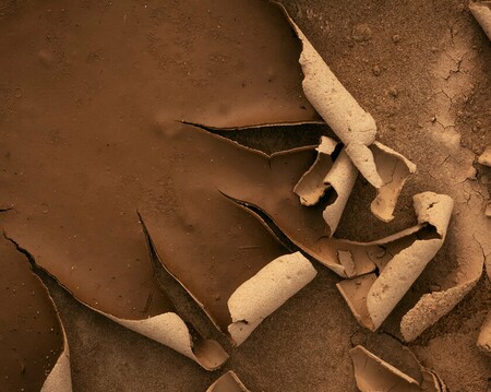 Close-up of abstract patterns formed in dried mud, displaying fascinating textures