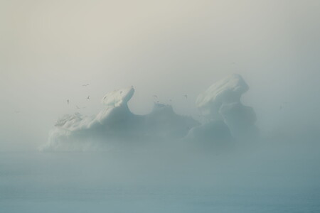 Iceberg with seagulls in Jökulsárlón glacier lagoon in Iceland surrounded by fog