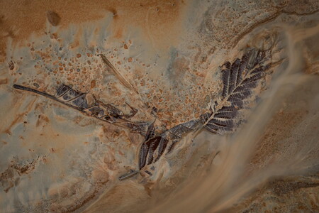 Macro photograph of autumn leaves in small stream filled with chalk and sand