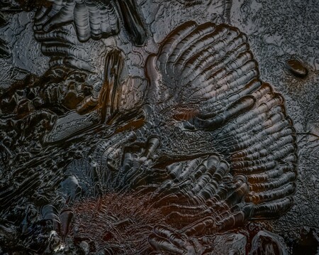 Abstract details in the ice surface of a frozen stream