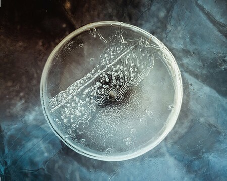 Abstract Macro Photography of Frozen Air Bubble