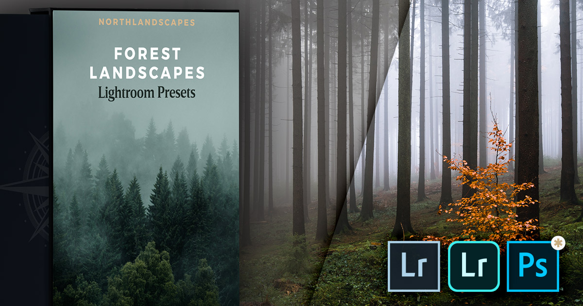 Lightroom Presets for Forest Photography (Desktop & Mobile)