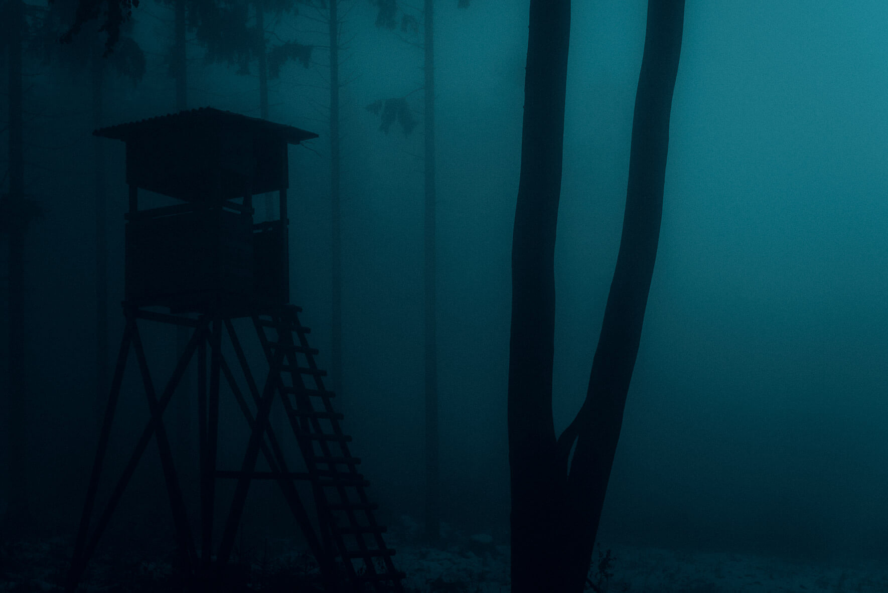 Dark forest in winter with fog by Jan Erik Waider