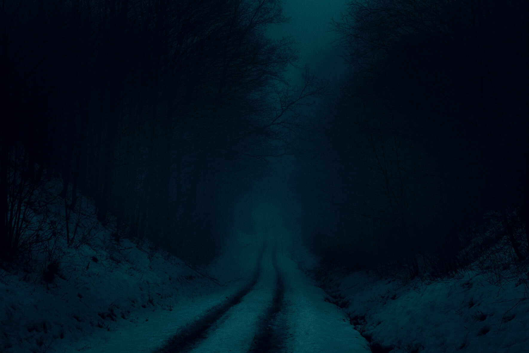 Road into a dark forest in winter by Northlandscapes - Jan Erik Waider