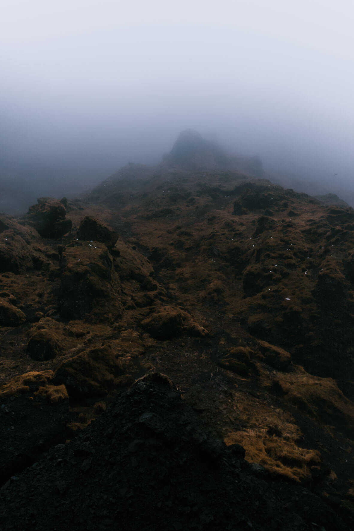 Foggy weather above Reynisfjall mountain in Vík, Iceland by Northlandscapes