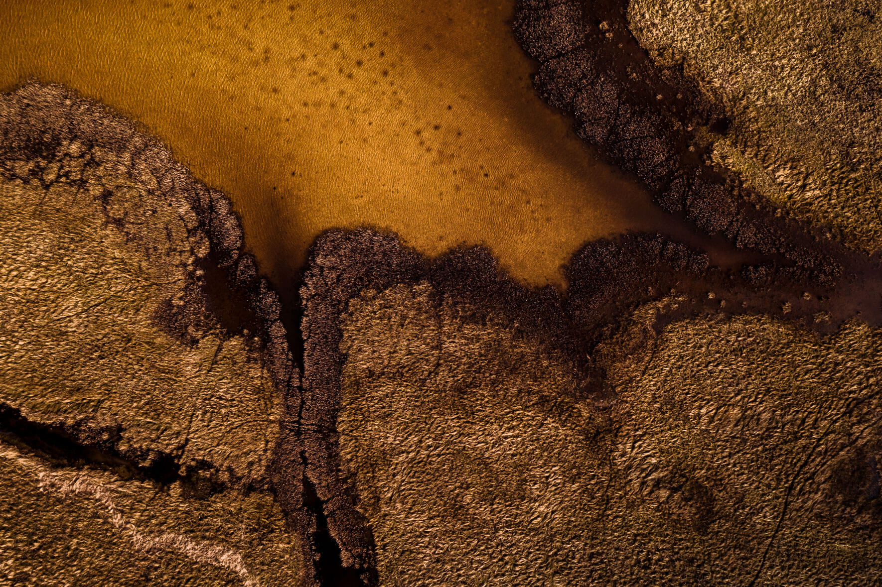 Abstract yellow lake and grass from aerial perspective