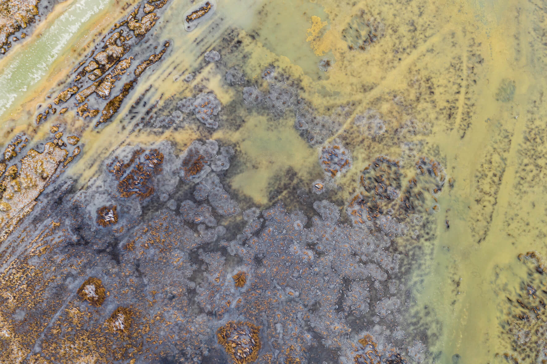 Abstract Aerial Photography of Swampland in Iceland