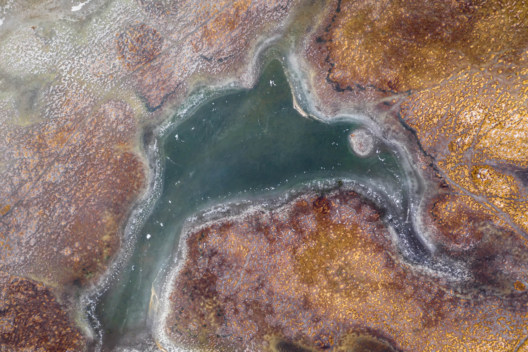 Abstract Aerial Photography of Frozen Swampland in Iceland