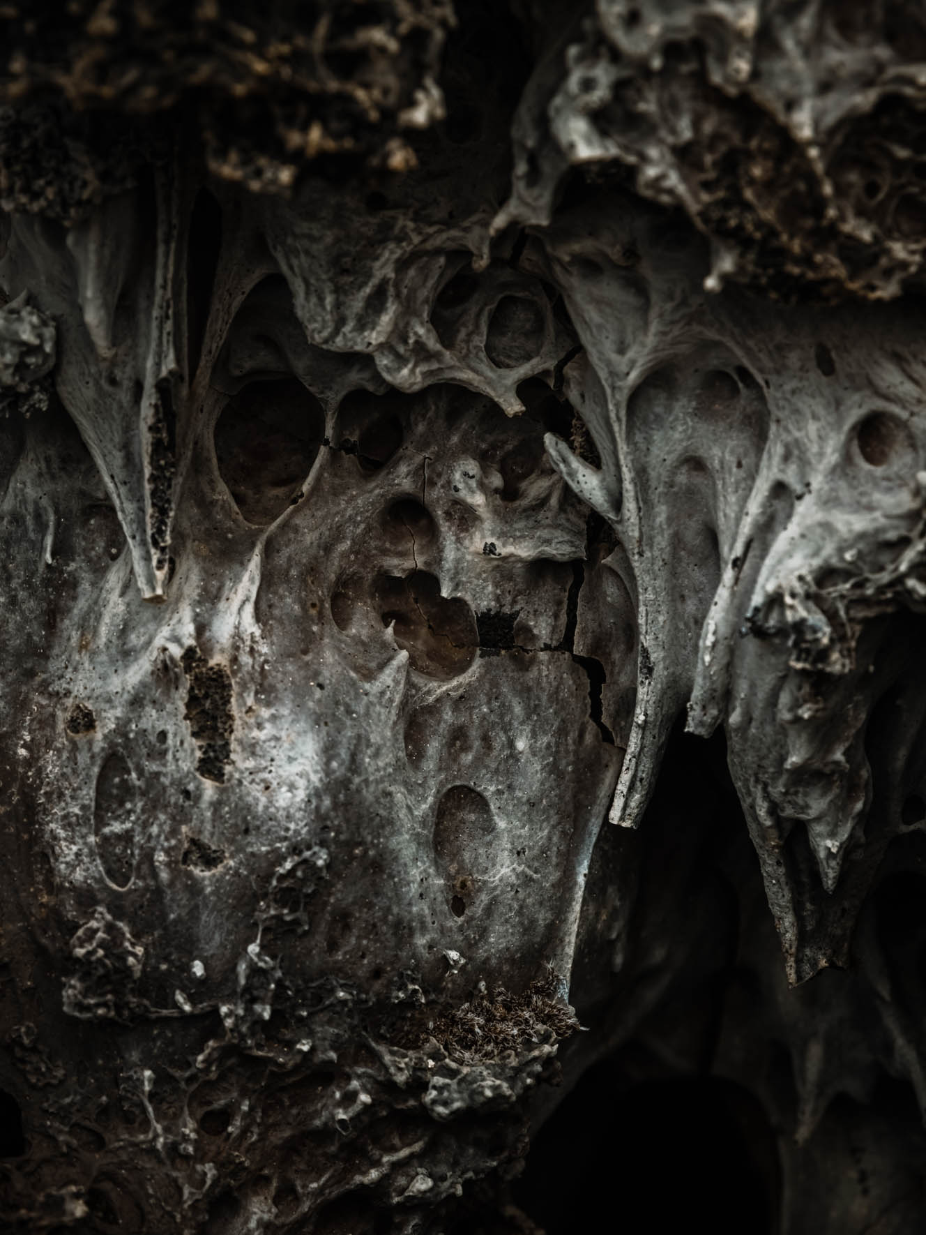 Surreal Geology of Lava Fields in North Iceland