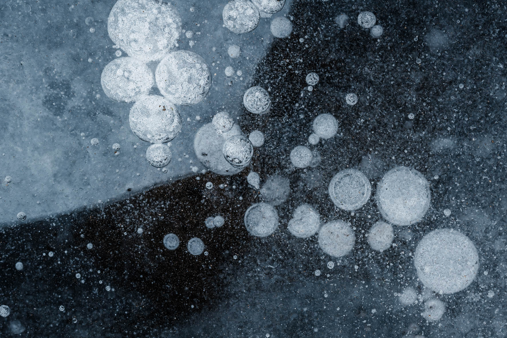 Macro Photography of Frozen Puddle and Air Bubbles