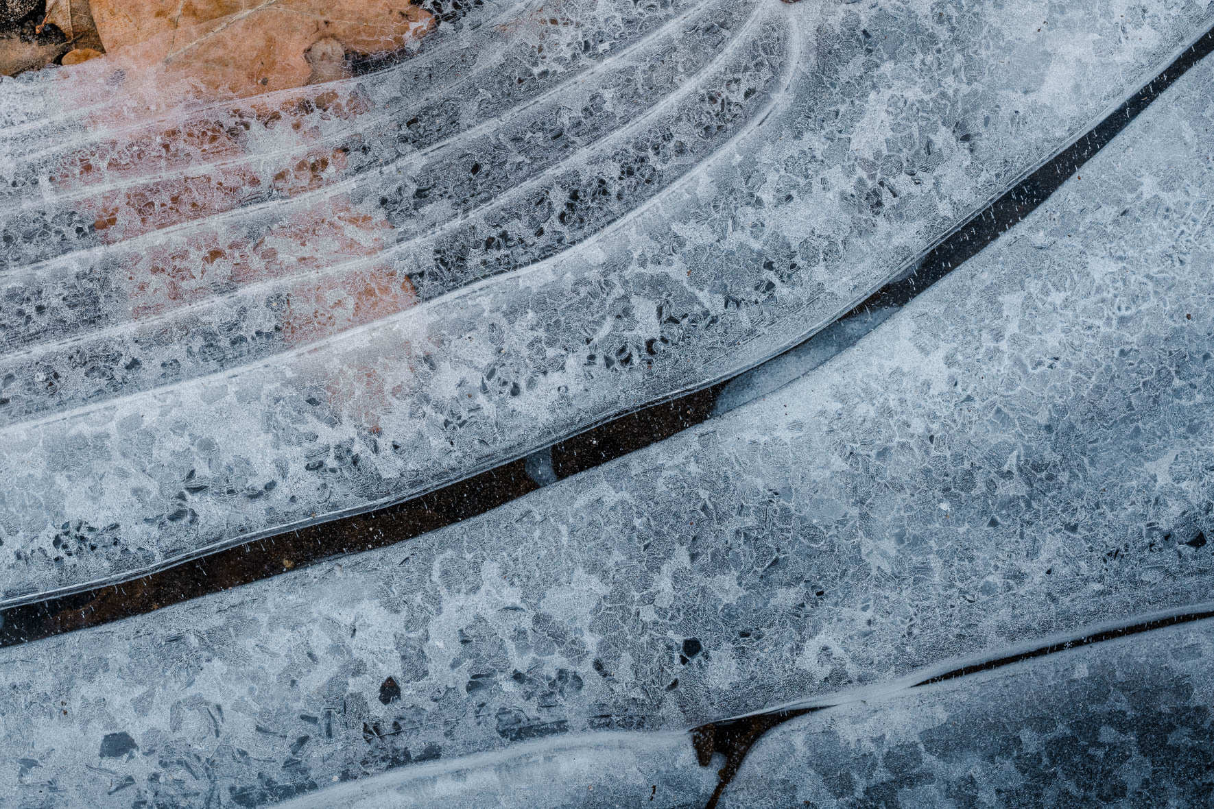 Macro Photography of Frozen Puddle with Leaves