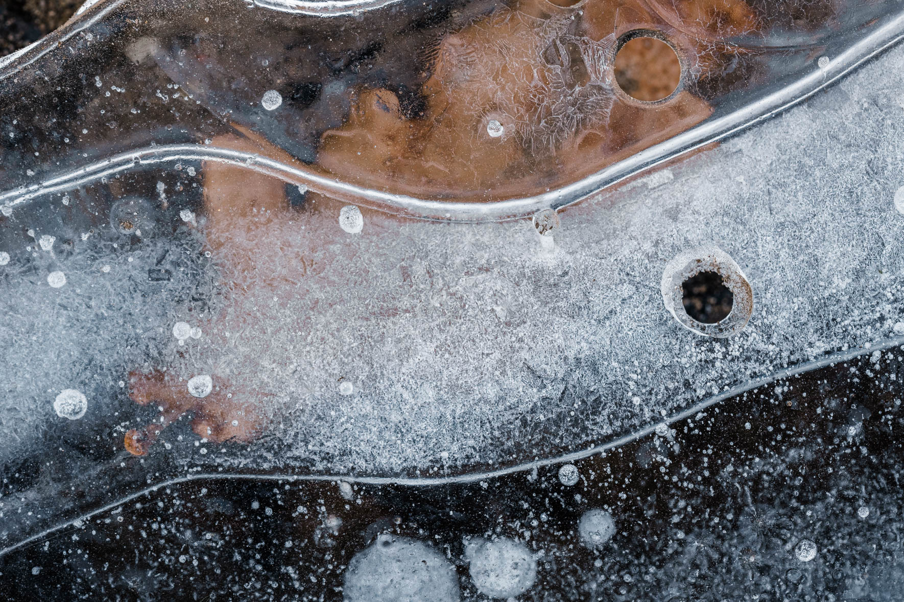 Macro Photography of Frozen Puddle with Leaves