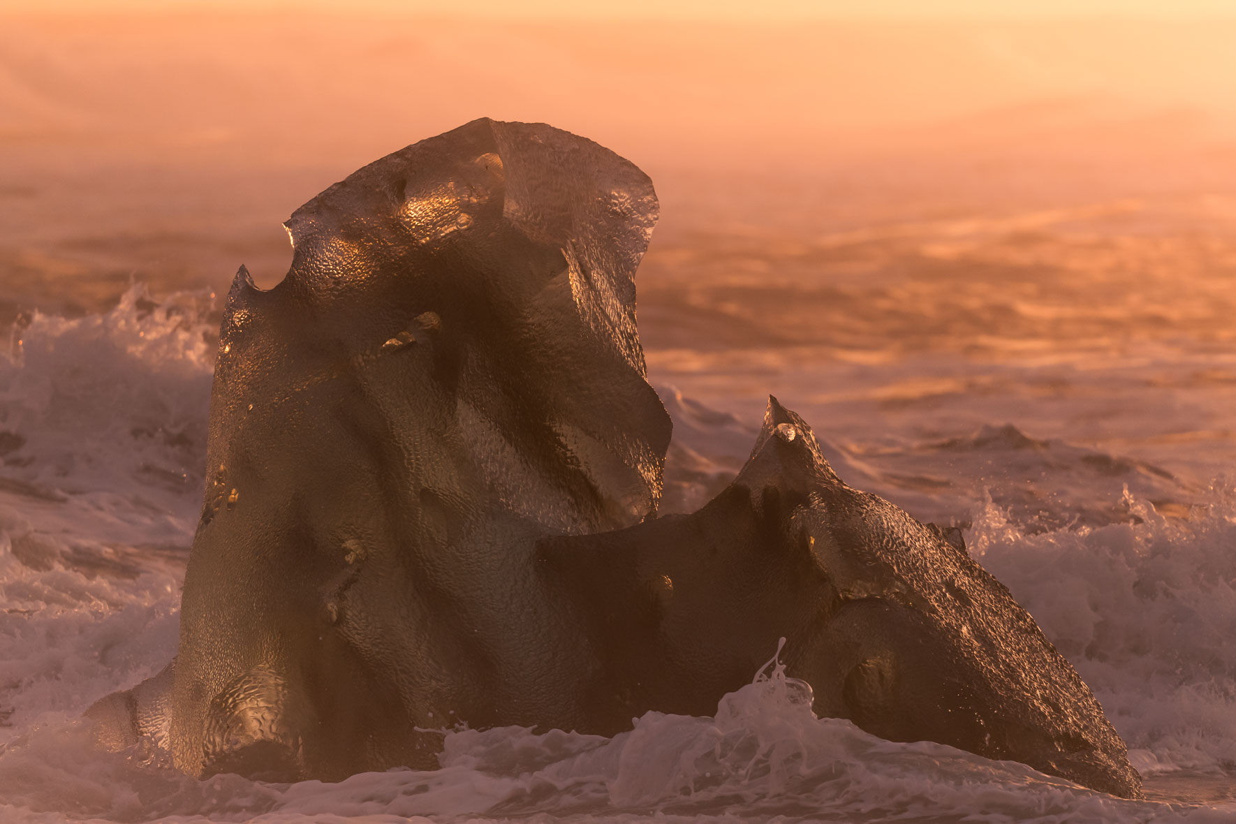 Massive Iceberg at Diamond Beach near Jökulsárlón Glacier Lagoon