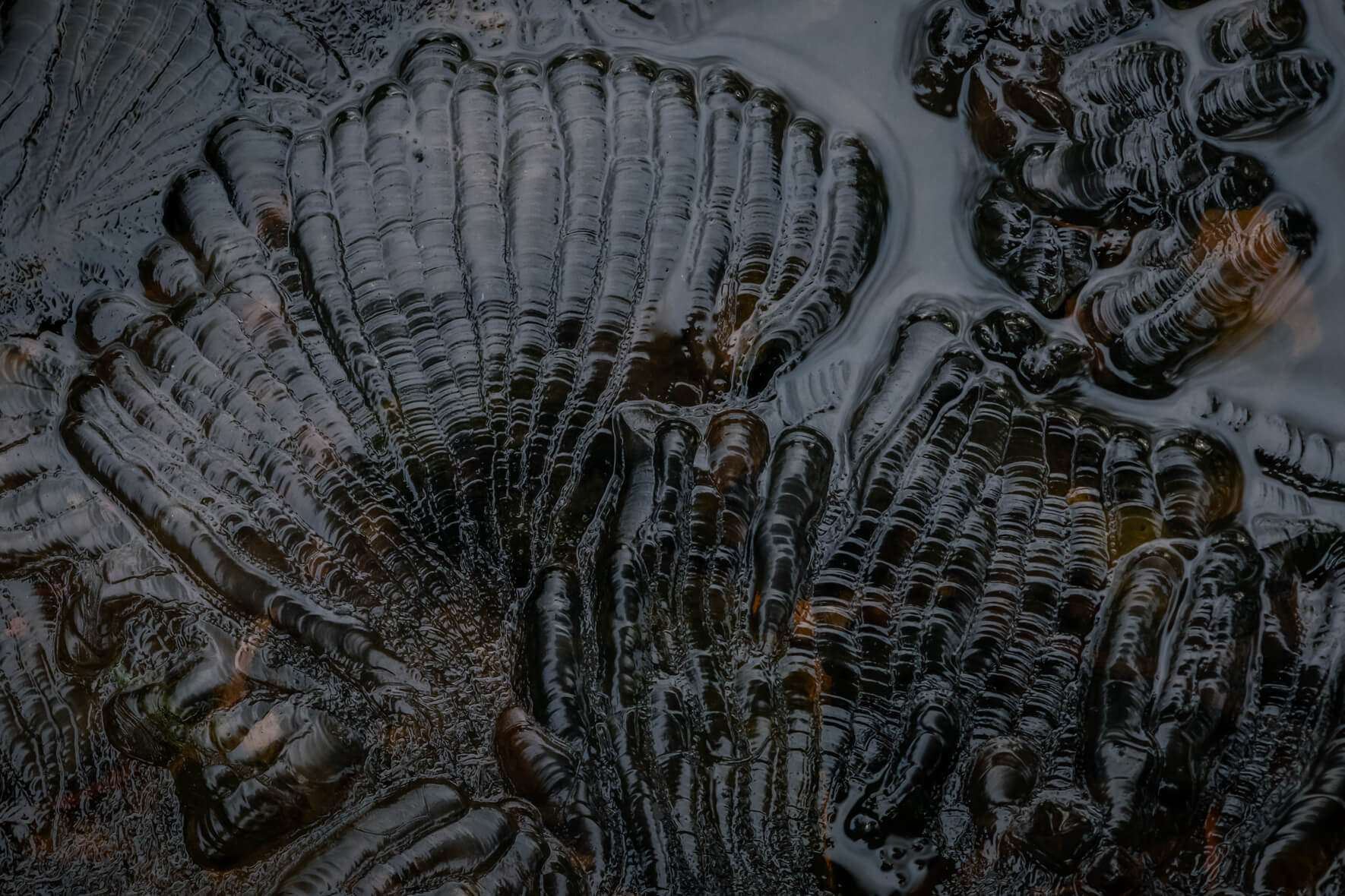 Macro photography details in the ice surface of a frozen creek