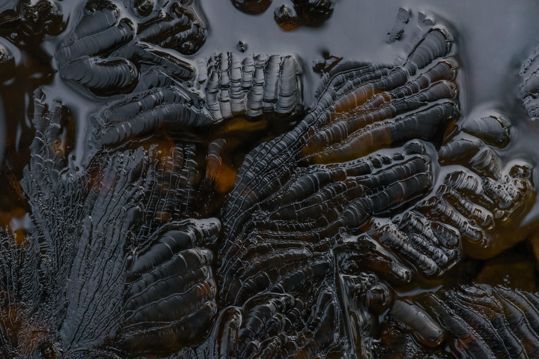 Macro photography details in the ice surface of a frozen creek