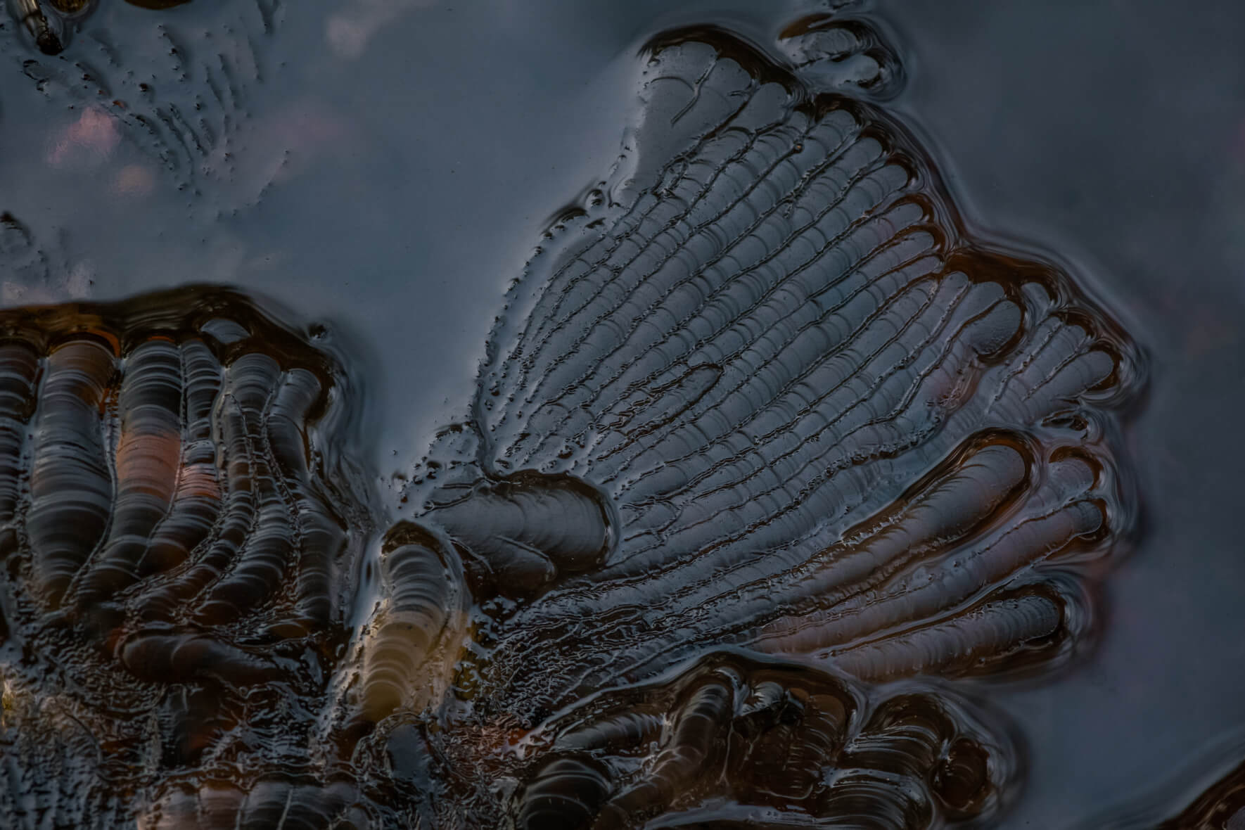 Macro photography details in the ice surface of a frozen stream