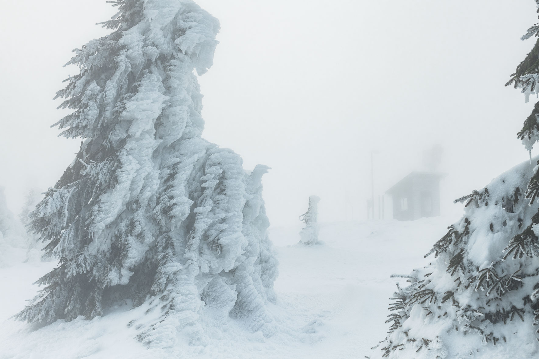 Snow covered trees on the summit of Mount Brocken and a small shelter hut