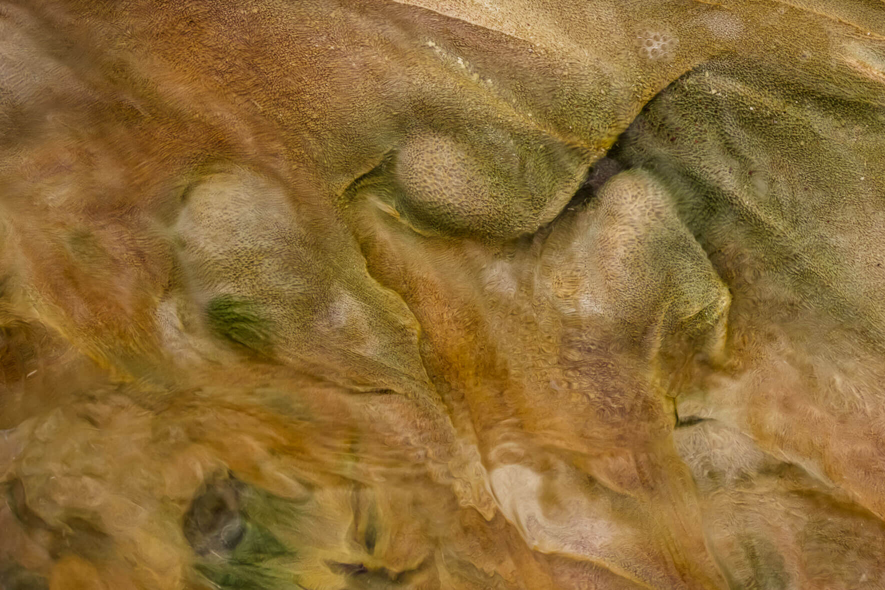 Abstract photography of a stream bed in a geothermal area in Mývatn region of Iceland