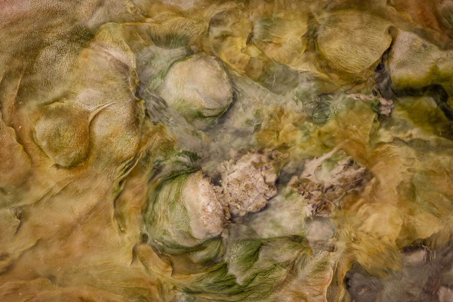 Abstract macro photography of a stream bed in a geothermal area in the Mývatn region of Iceland