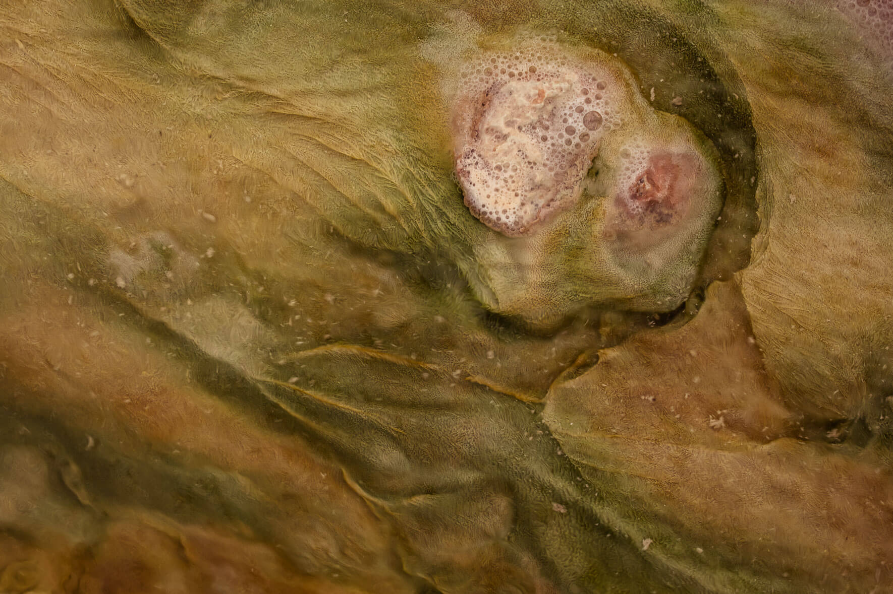 Abstract macro photography of a stream bed in a geothermal area in Mývatn region of Iceland