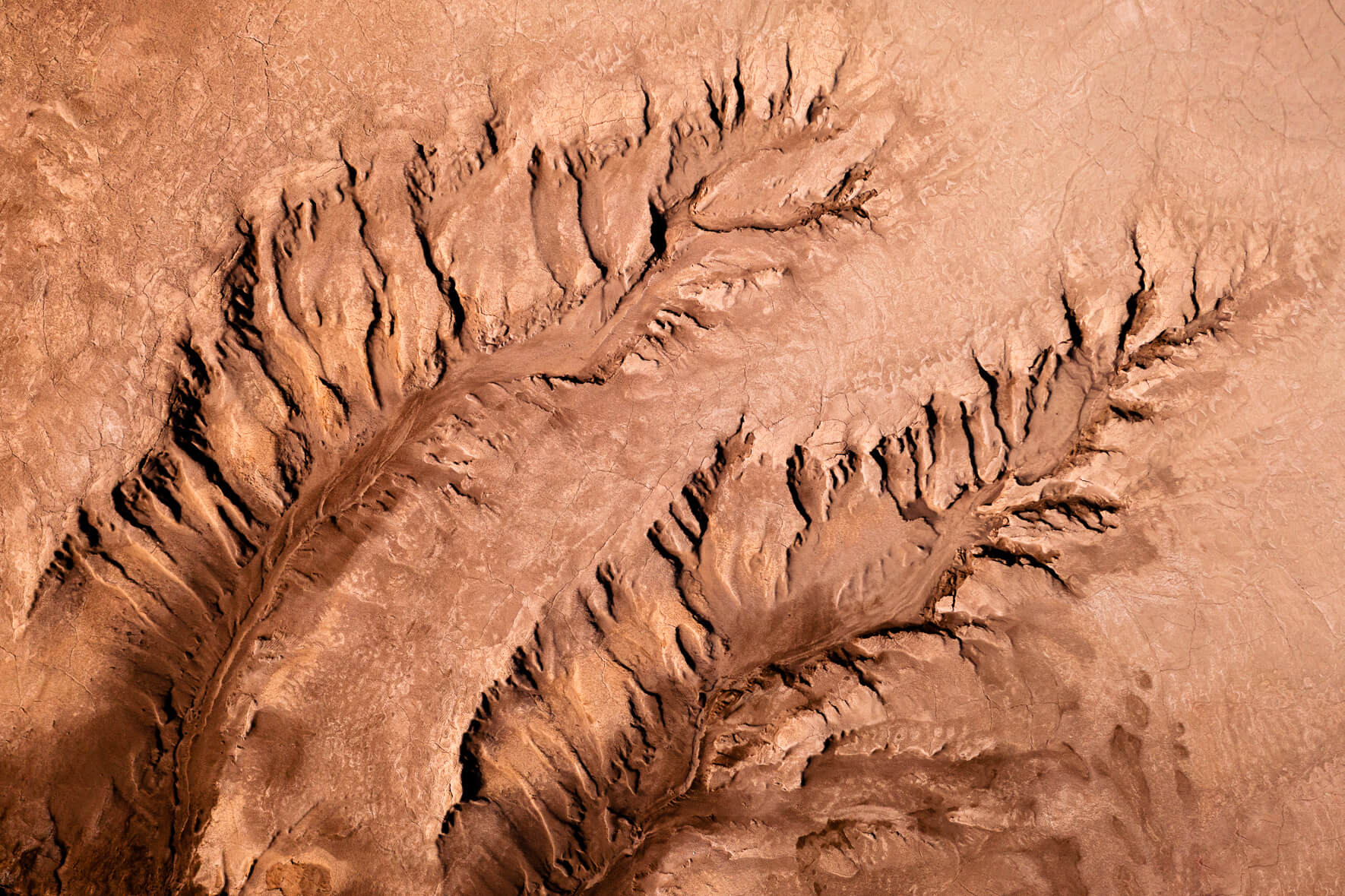 Abstract aerial photograph of a dried up riverbed in the highlands of Iceland