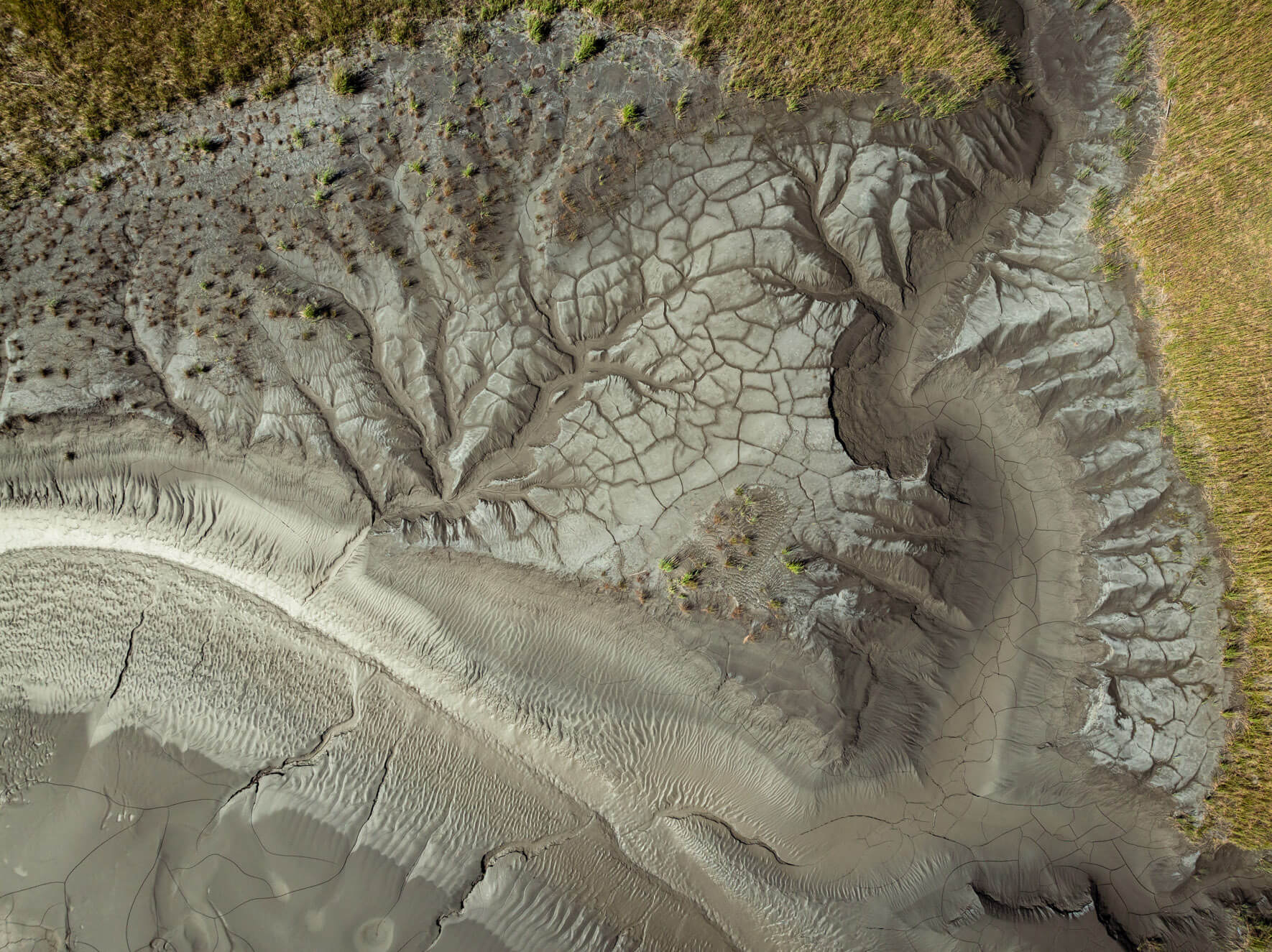 Aerial view of Alaska’s tidal formations, showing winding channels etched by the tide