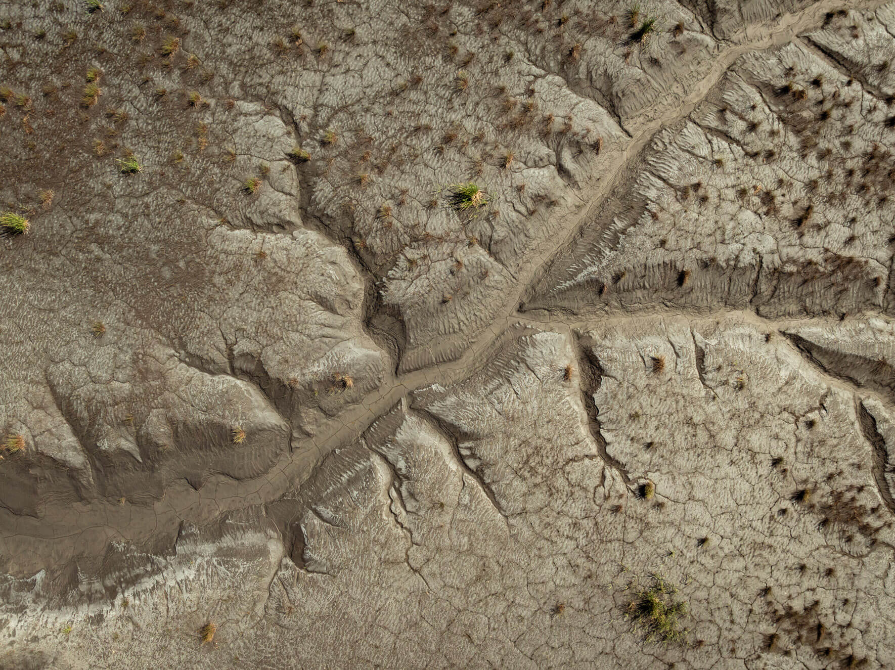 Abstract aerial view of Alaska’s intertidal zone, revealing mudflats and sediment.