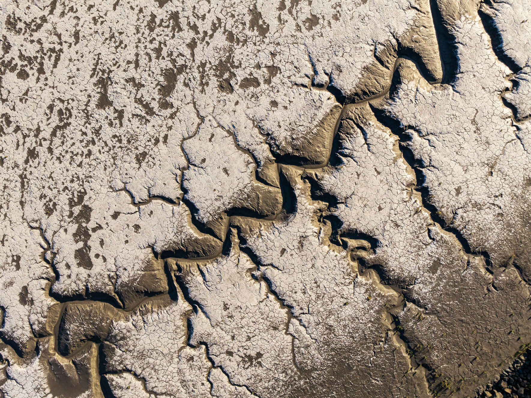 Vein-like channels in the mud, created by retreating water on Alaska’s tidal flats