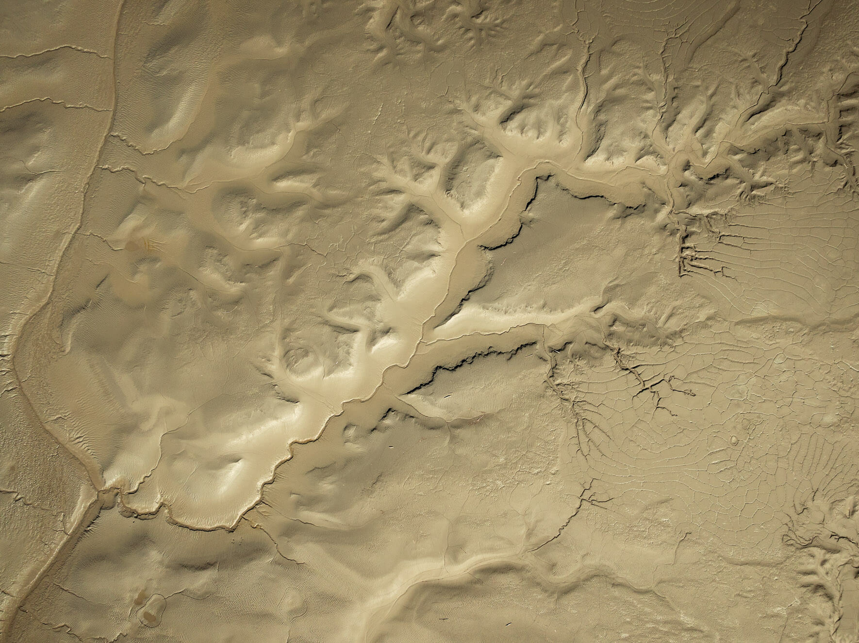 Meandering tidal channels in Alaska carve through exposed coastal mudflats at low tide