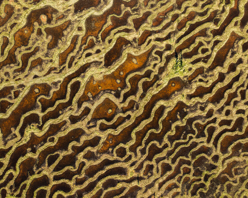 Aerial perspective of Alaska’s ever-changing wetlands, where water levels carve natural patterns