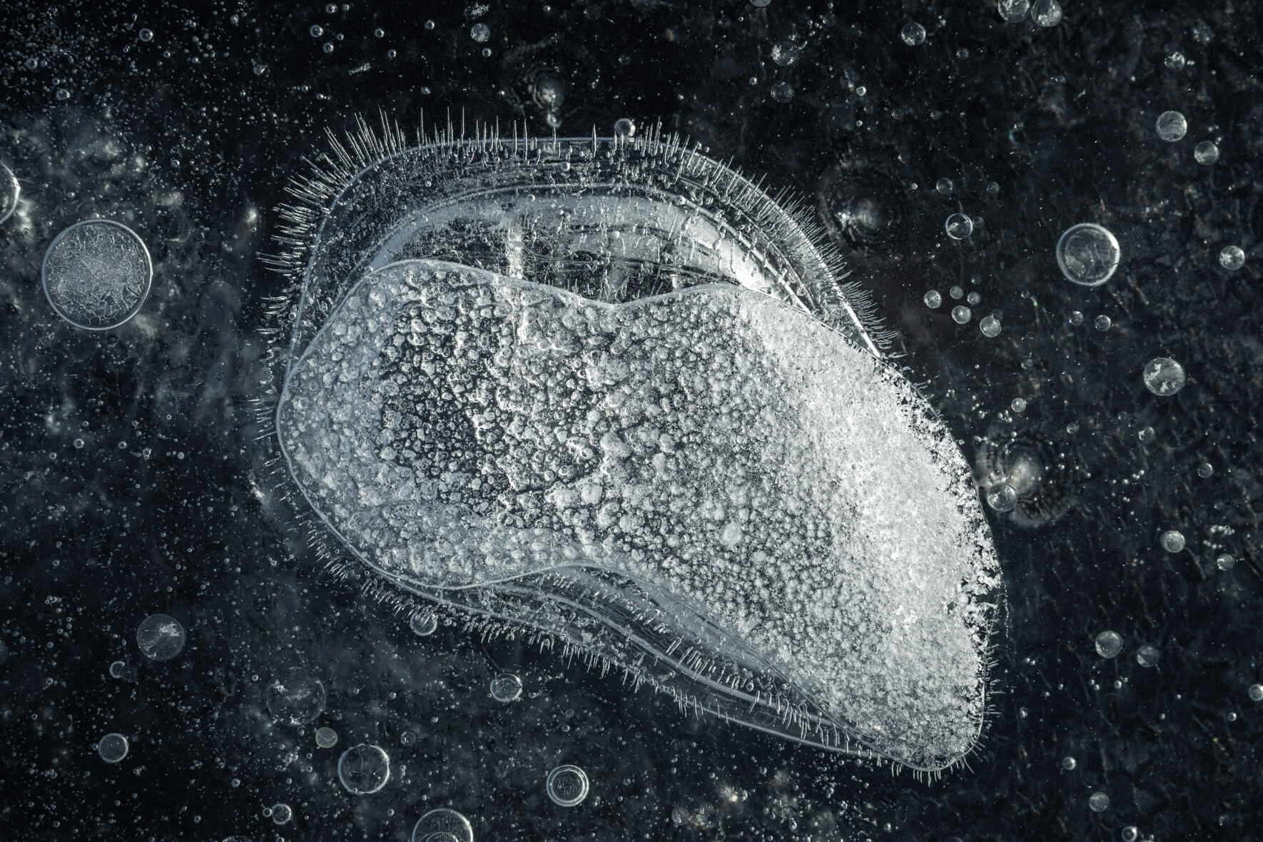 Macro photography of an air bubble trapped in dark ice