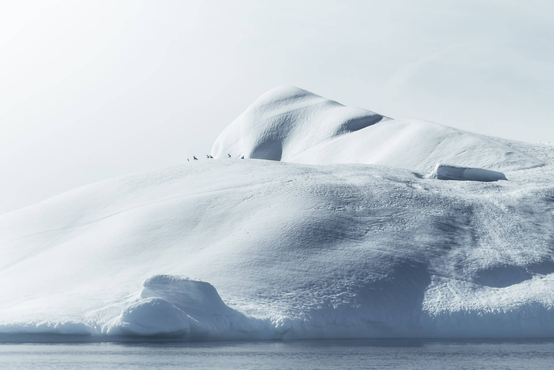 Texture of a massive iceberg in Greenland