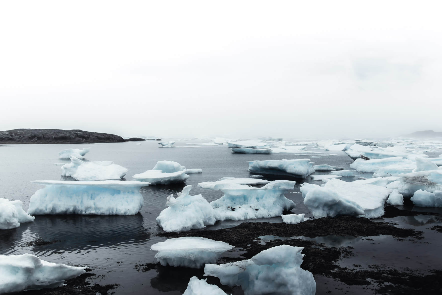 Small icebergs in the fog on the beach of Kulusuk, Greenland