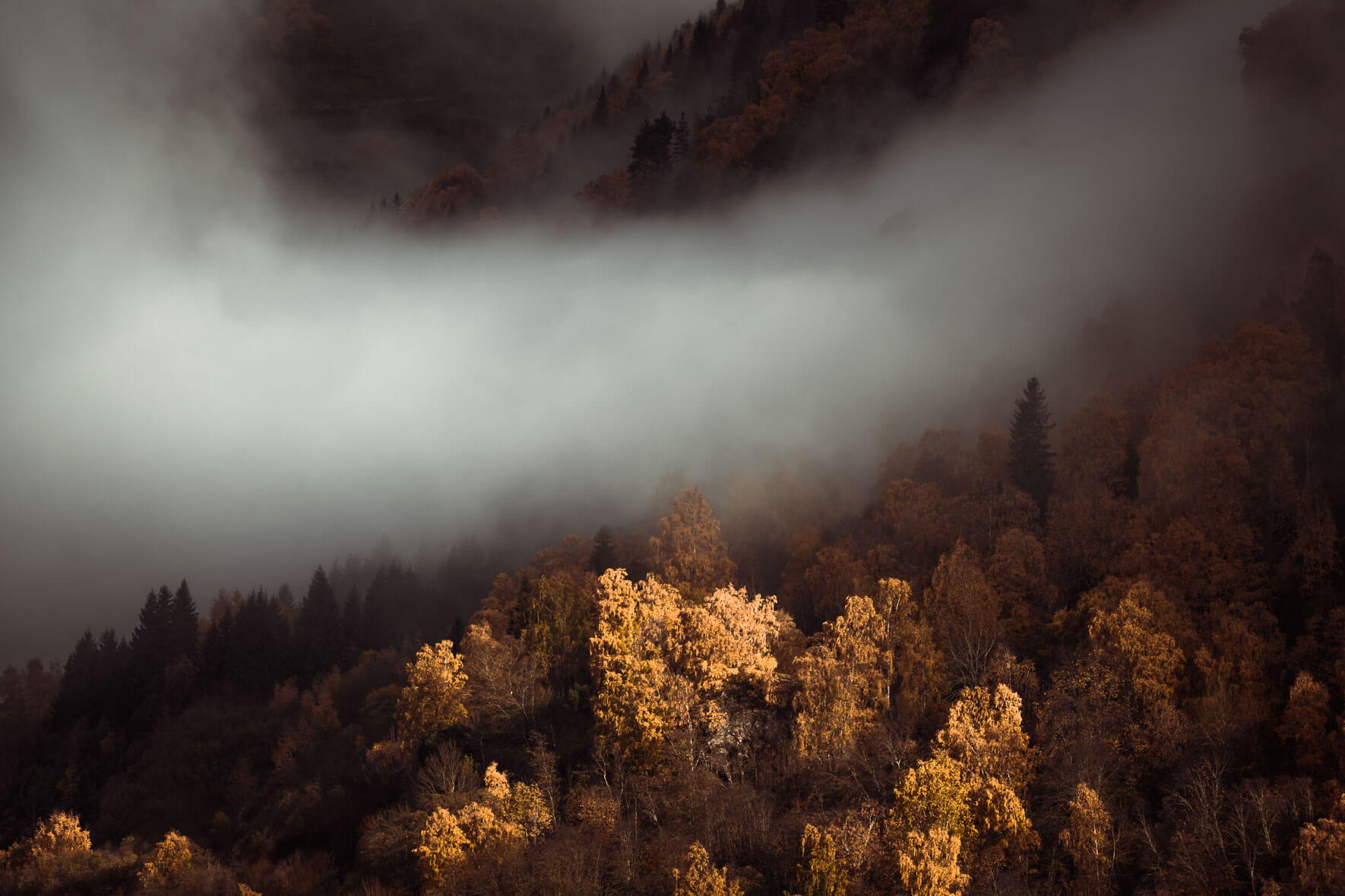 Autumn forest with beautiful clouds in sunlight